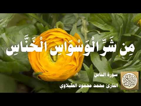 114 محمد محمود الطبلاوي سورة الناس 