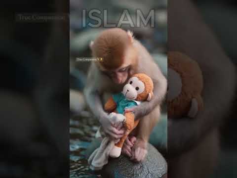 لهروب من القدر لا يكون إلا باللجوء إلى صاحب القدر.