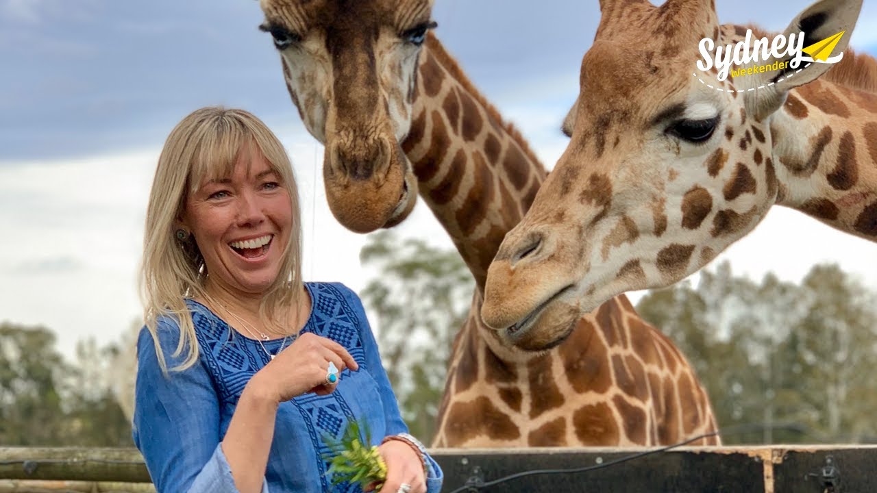 Mogo Wildlife Park | Sydney Weekender