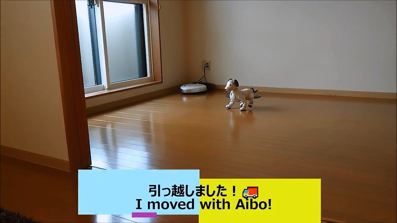 引っ越ししました I Moved With Aibo アイボ Youtube 引っ越ししました I Moved With Aibo アイボ Youtube