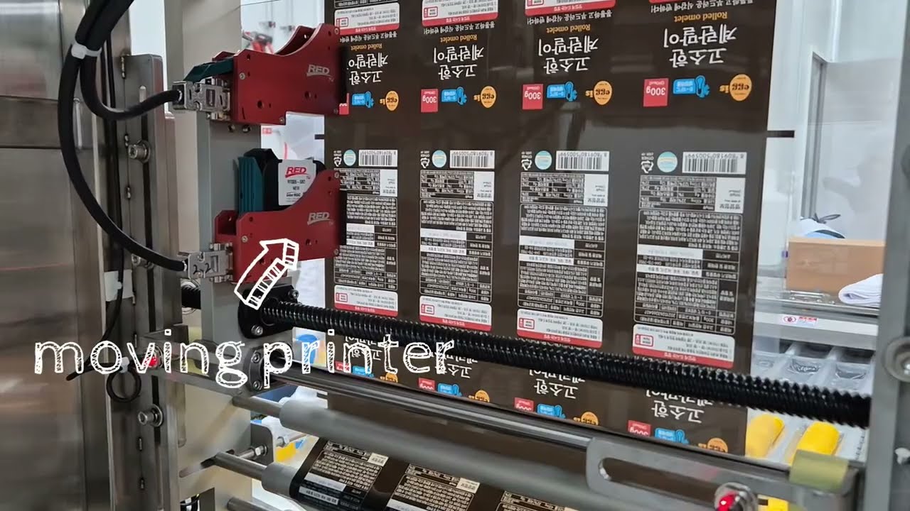 [GRANDPACK] GP360 Egg roll - Thermoforming vacuum packaging machine