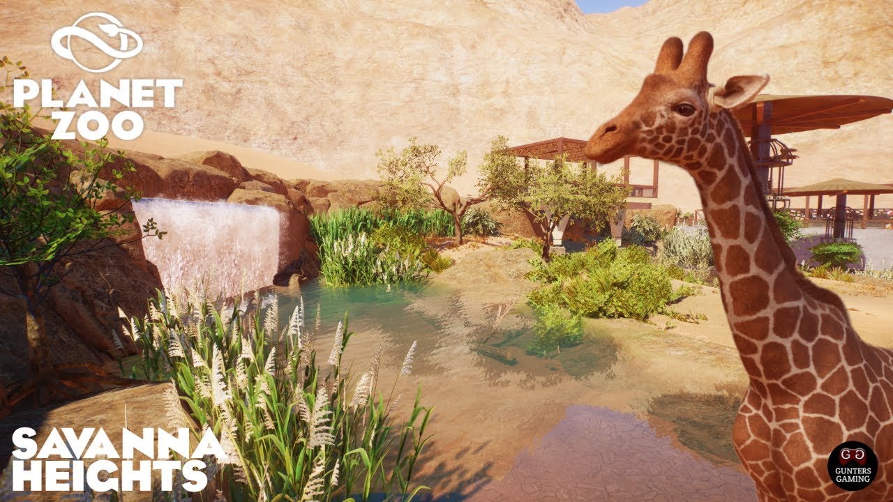 Witness the Wonder of Savanna Heights  | A Reticulated Giraffe Exhibit | Oasis Zoo #14