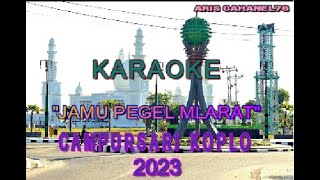 Cover Karaoke Cdanursari Koplo Jamu Pegel Mlarat Duet Tanpa Vocal Cewek