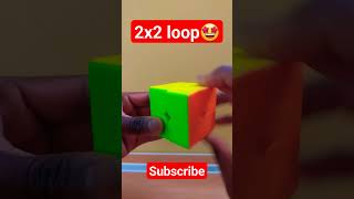 2X2 Loop Perthcuber