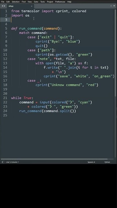 How to use Match Case statements in Python? - YouTube