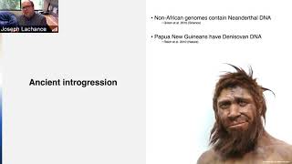 Evolution and Prediction of Genetic Disease Risks in Ancient and Modern Humans