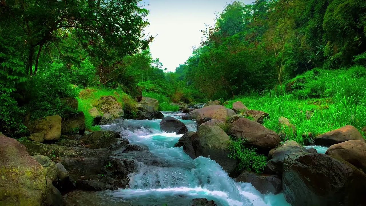 This Forest River Sound Is REAL, Not AI | 10 Hours Natural Ambience