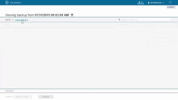 IBM Spectrum Protect for Virtual Environments - Find  Files