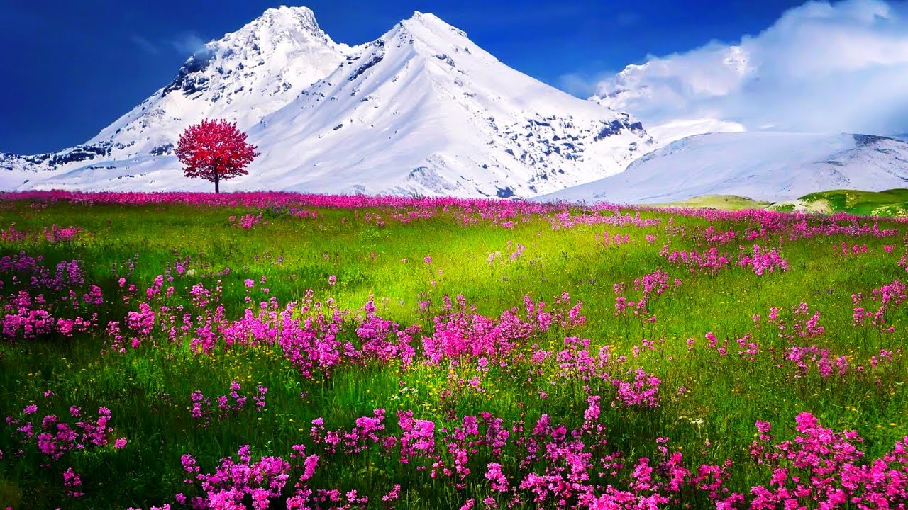 Heart Touching Naat With Amazing nature 4k,naat with Nature,Arabic naat, nature videos,Scenery video