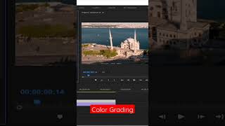 Color Grading Animation in Adobe Premiere Pro tutorial for beginners