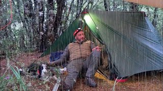 CAMPING in RAIN  hiking pole TENT