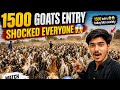 1500 Goats Entry Shocked Everyone 😳 | 2nd Eid vibes 🥰