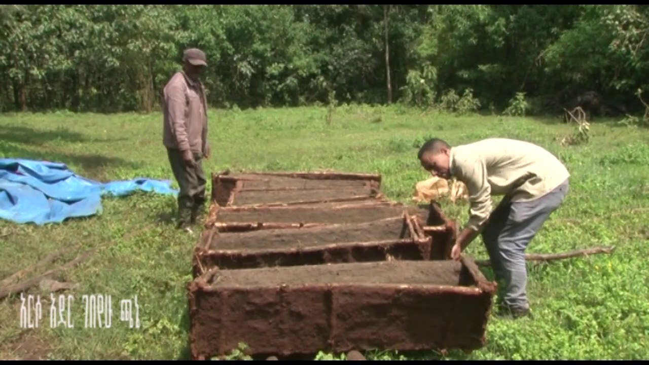 ንብ ማነብ ሌላው የገቢ አማራጭ  ማቻክል 2013ዓ ም