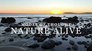 Ch. 8: &quot;Nature Alive&quot; - &#39;Modes of Thought&#39; by Alfred North Whitehead