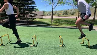 Hurdle Hops - Reactive