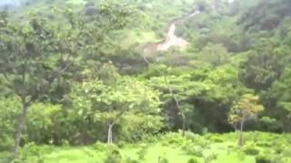 Immortal   The Call Of The Wintermoon