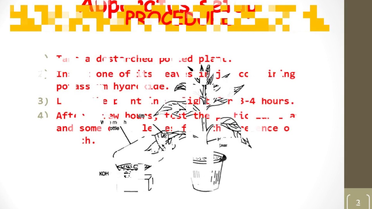 To show that carbon dioxide is necessary for photosynthesis#CBSE#CLASS