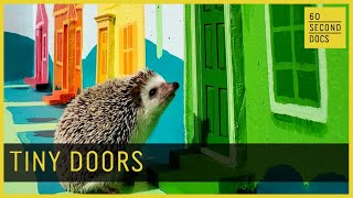 Tiny Doors ATL | Karen Anderson Singer