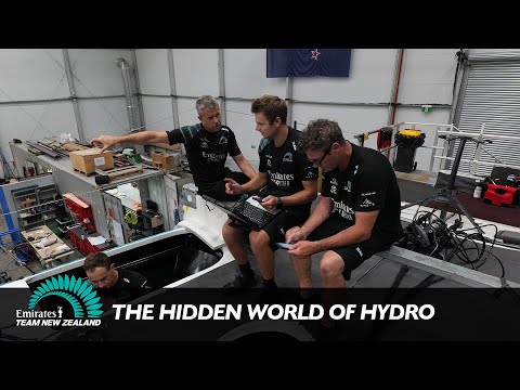 THE HIDDEN WORLD OF HYDRO