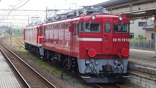 【仙台の機関車が首都圏へ！】ED75 757号機のAT入場配給が運転されました　2022/06/22　配8146レ～配8279レ　EF81 95［尾］+ムドED75 757［仙］栗橋・三郷にて