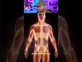 Why Muscle Mass is More Important Than You Think #facts #health