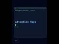 Attention Maps