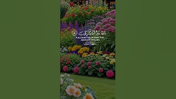 سورة النمل/قرآن كريم/مقاطع قران قصيرة/ياسر الدوسري/قل الحمد لله /حالات وتس /تيك توك