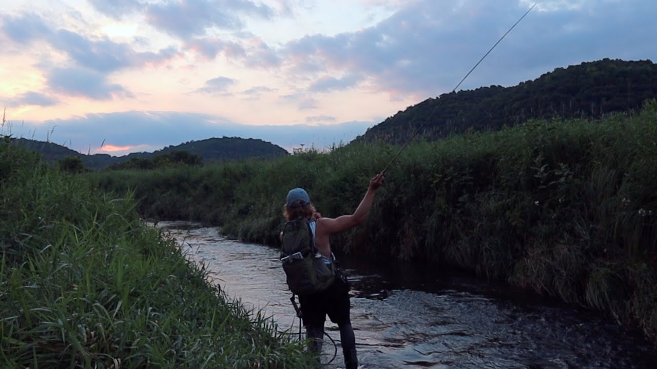 ITS HOPPER SEASON IN THE DRIFTLESS REGION (Fly fishing