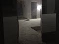 Live highlight
