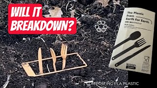 Testing Biodegradable Plastic in Compost Bin