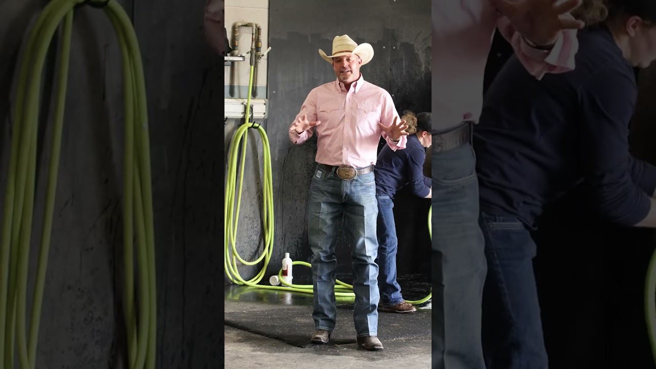 Наша процедура ухода за лошадьми на конных соревнованиях