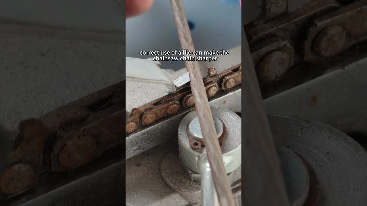 A sharp saw chain relies on a good file. 