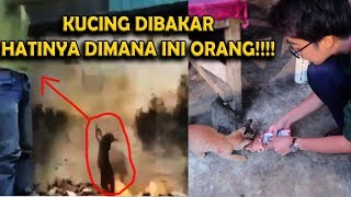 TEGA BANGET KUCING DIBAKAR HIDUP HIDUP TEGA BANGET KUCING DIBAKAR HIDUP HIDUP