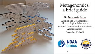 A Brief Guide to Metagenomic Sequence Analysis