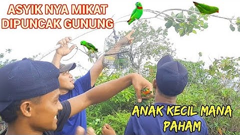 KESERUAN MIKAT SERINDIT RAMAI-RAMAI