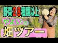 28種類の畑の様子をご紹介します。