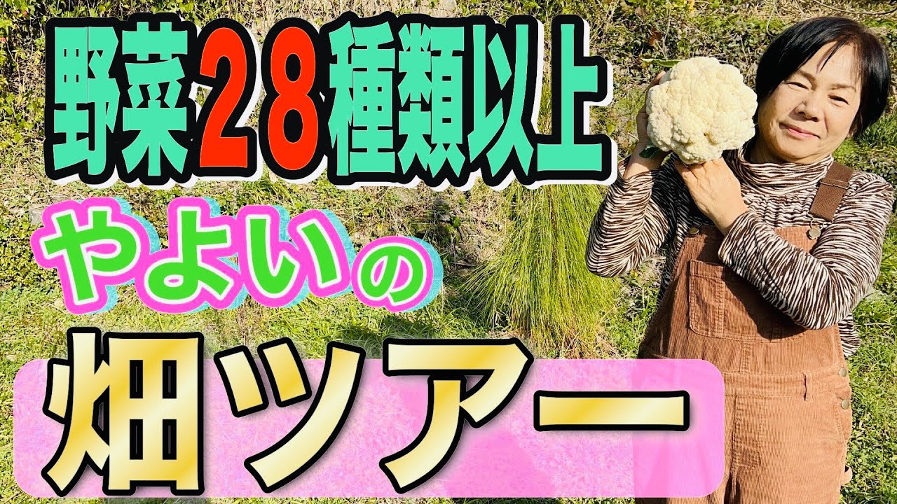 ２８種類の畑の様子をご紹介します。