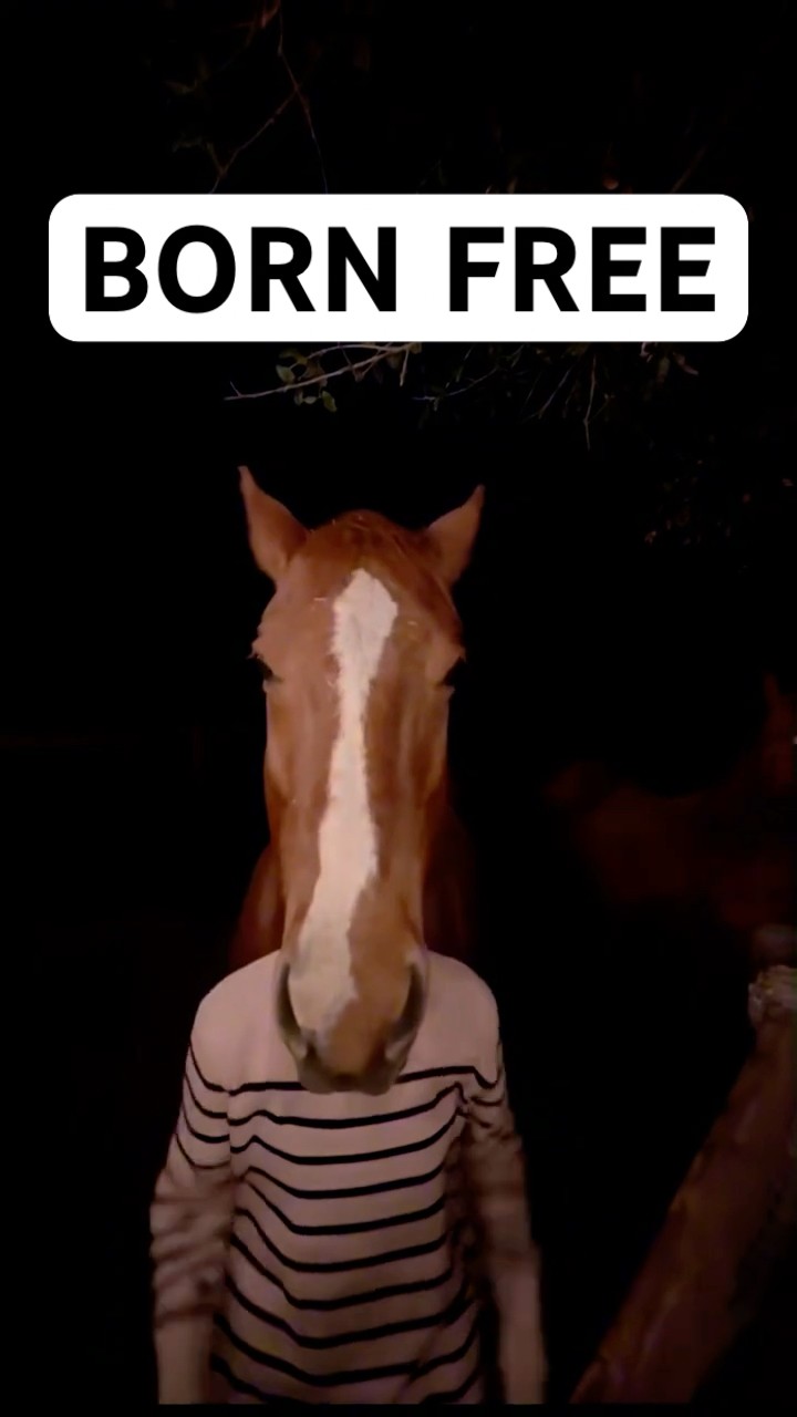 Horse Core Hits Different🐎 - YouTube