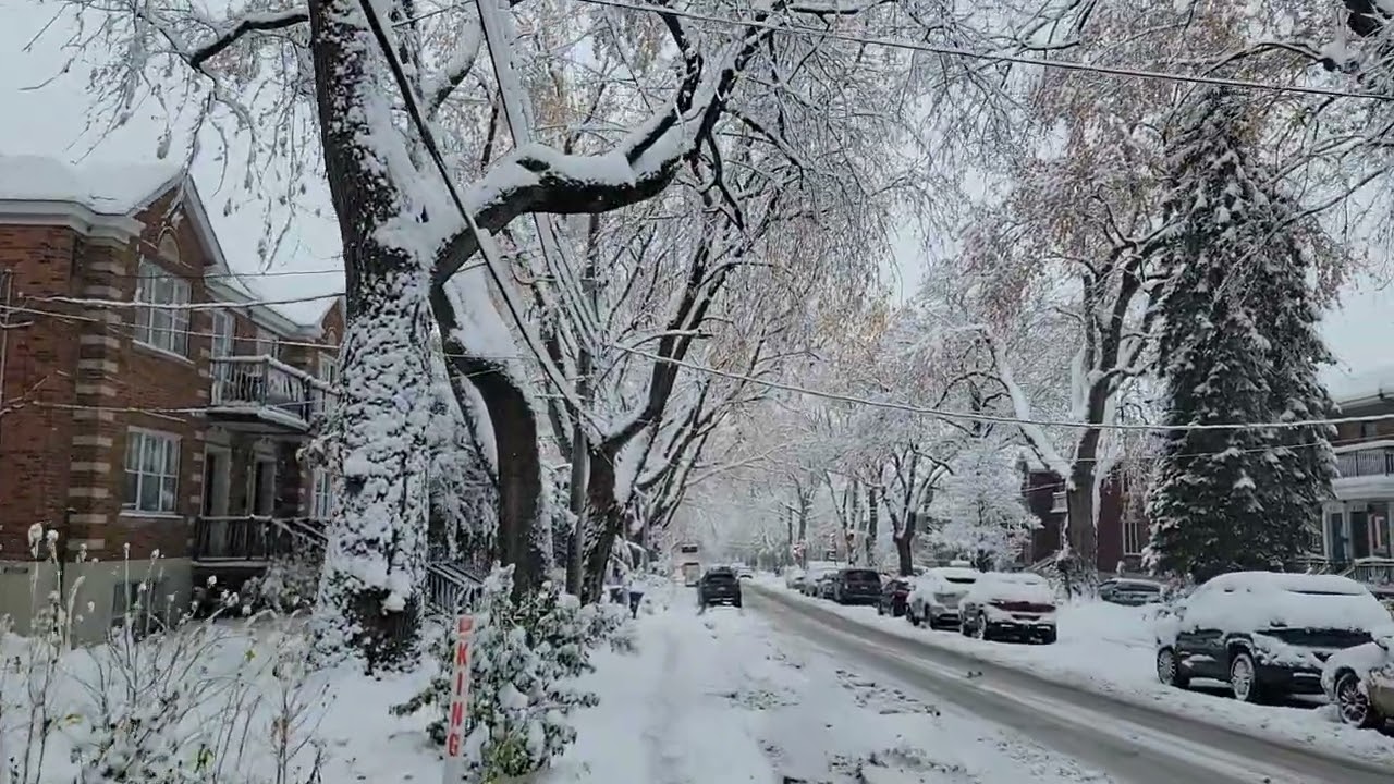 Woke up to this view today ❄️ First snow in Montreal! 🤍 Winter has begun!