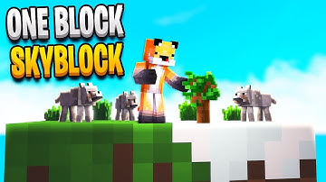 Minecraft Skyblock But You Only Get 1 Block (5)