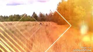 IMG 6460