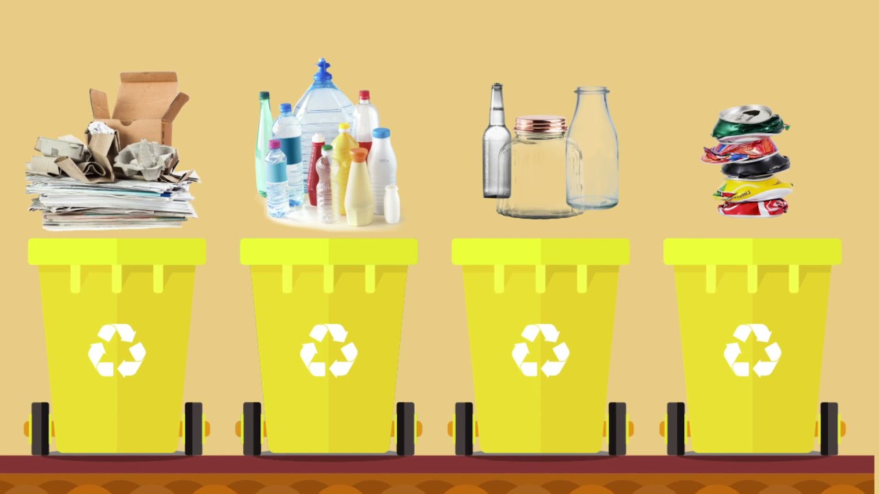 Основные правила сортировки отходов