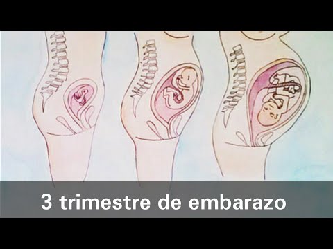 tercer-trimestre-de-embarazo-el-mas-pesado-nuevos-sintomas