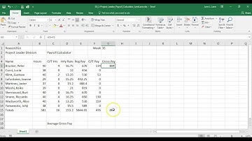 SAM Excel 2016 Module 1 - Enter and Edit Simple Formula (3:22)