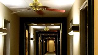 Ceiling Fans at the Lafayette Indiana Best Western Hotel & Waterpark (2012)