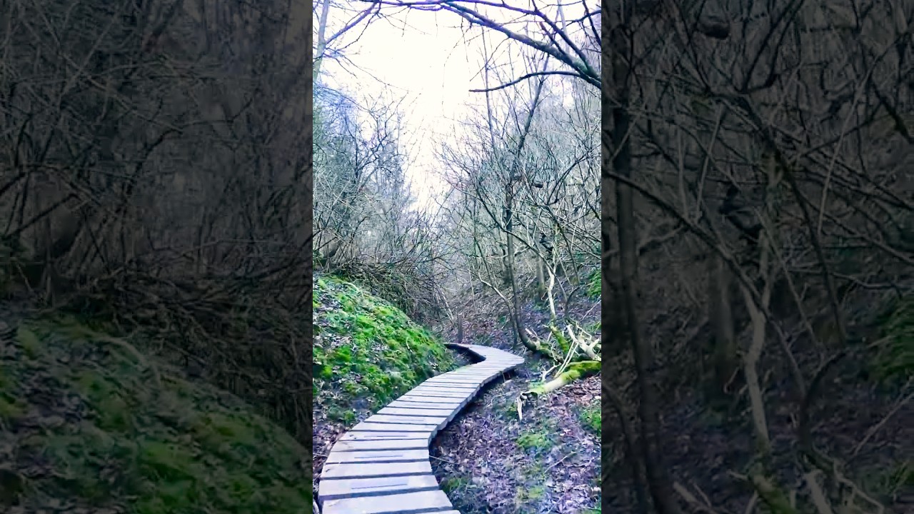 Fosdalen: Lien: Fosdal Plantage: Jammerbugt: Visit Nordjylland: Visit Denmark: Silent Hiking