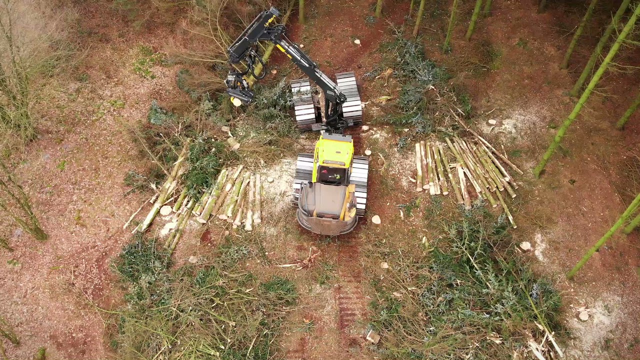 Ponsse Buffalo Dual with h5