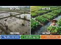 ৩-৪ মাস পানি জমে? সমস্যা না, সুযোগ! ১ বিঘায় Integrated Farming Plan