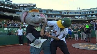 Green Day's Cool throws out first pitch screenshot 4