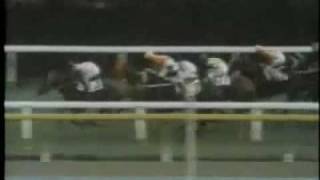 希少当時物ミスターシ―ビ―三冠達成 ミスターシービー-三冠馬の軌跡